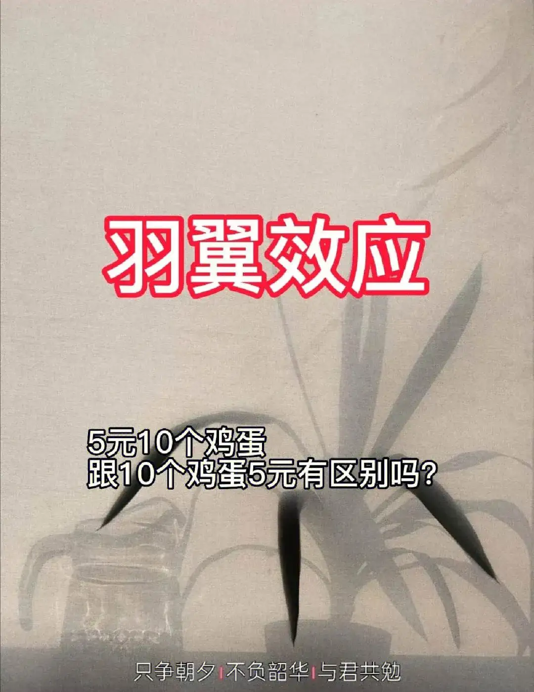 f80d6aa45d346e63b3460f9cb7a7138d